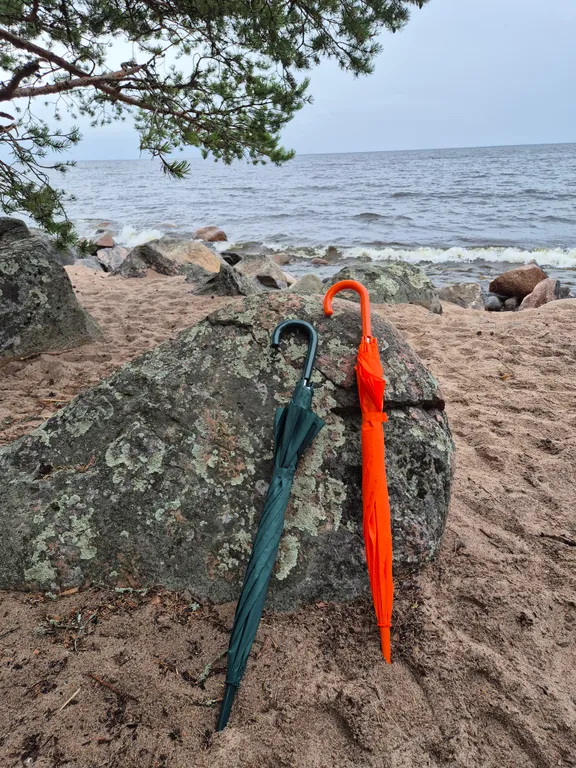 Коттедж Уютнейший дом с роскошным видом на озеро и пляжем.Карелия совсем рядом — Ларионово