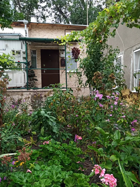 Уютная квартира в центре курортного города