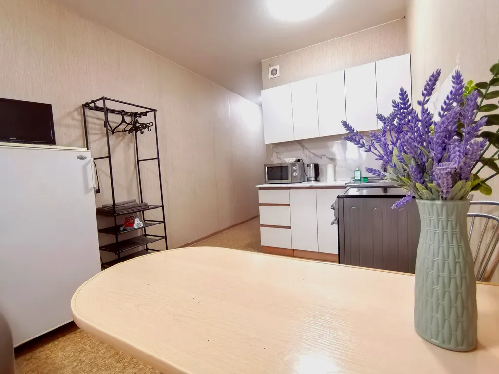 Квартира Квартира Уютная студия в 20 минутах от аэропорта и центра — Красноярск