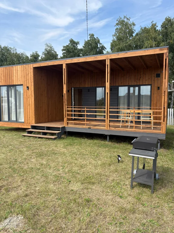 Дом с видом на березовый лес