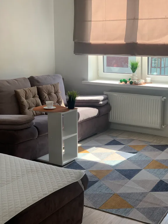 Квартира Однокомнатная квартира возле озера Тихого — Светлогорск