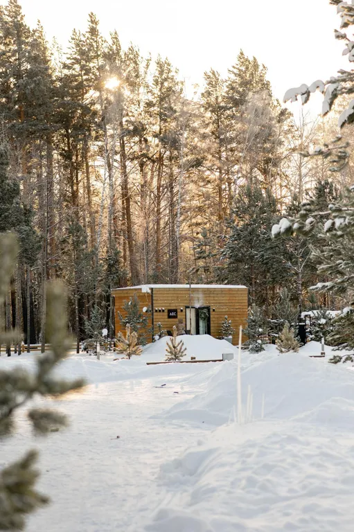 Двухместный 1 домик в лесу