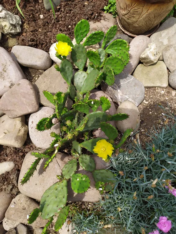 Уютный семейный дом