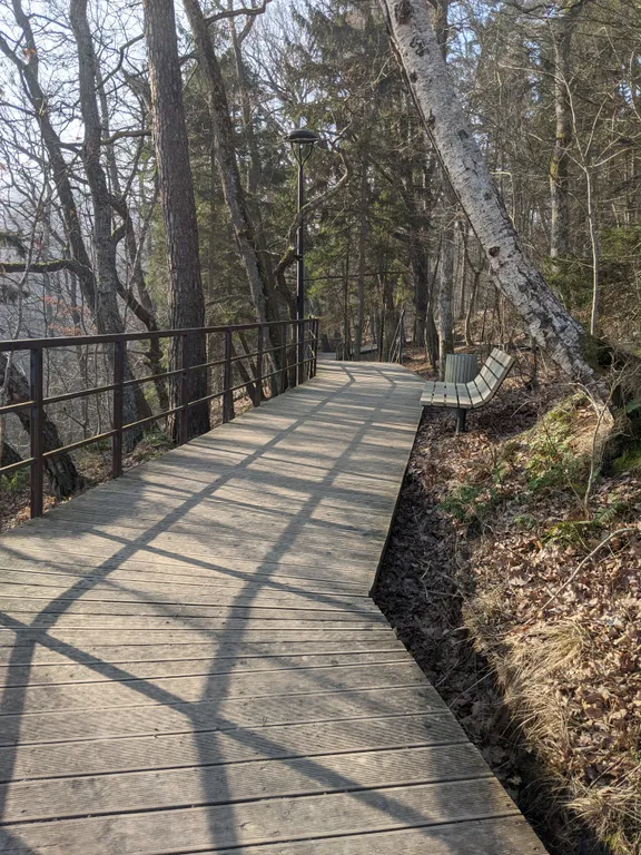 Апартамент с видом на лес