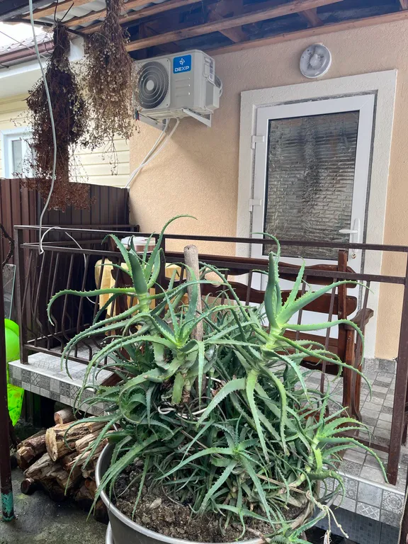 2-местный стандартный номер у моря