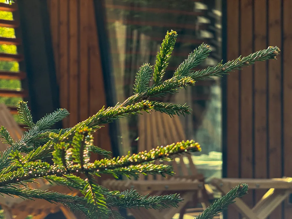 Домик Зов Йети