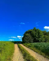 Day by Day