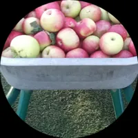 Лия Пионова