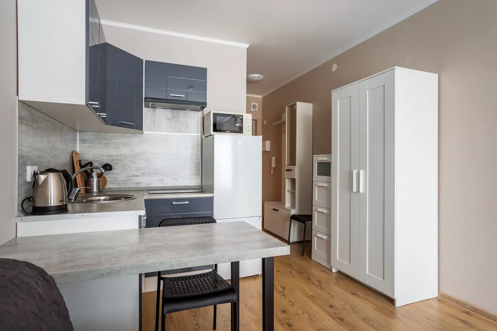 Студия у метро Парнас