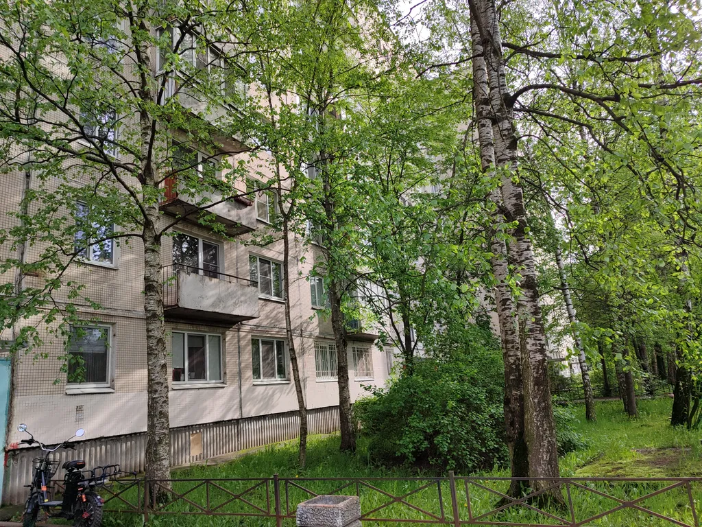 Квартира Просторная уютная квартира — Санкт-Петербург