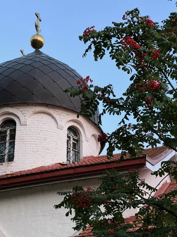 Домик в лесу