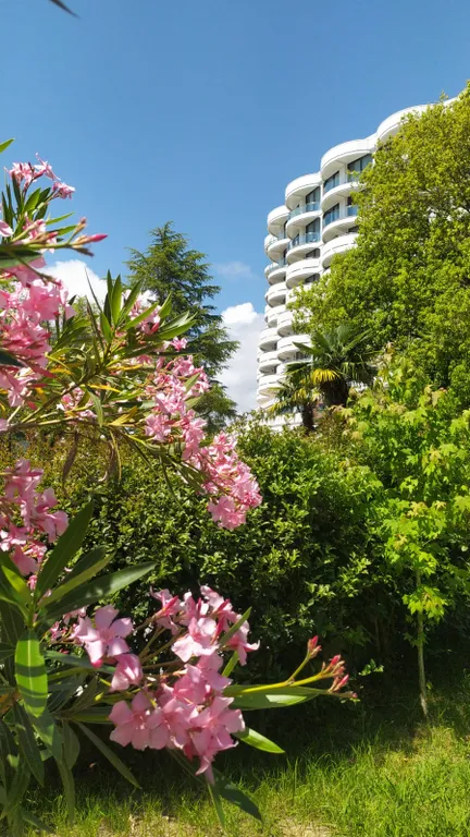 Апартаменты люкс