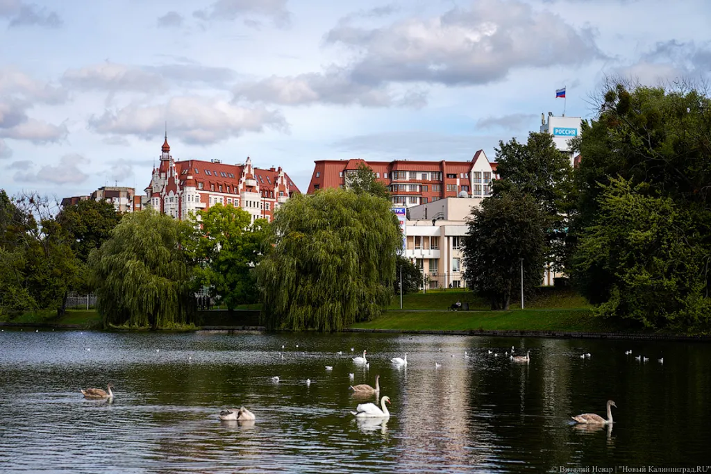 Mi Home. Росгартен