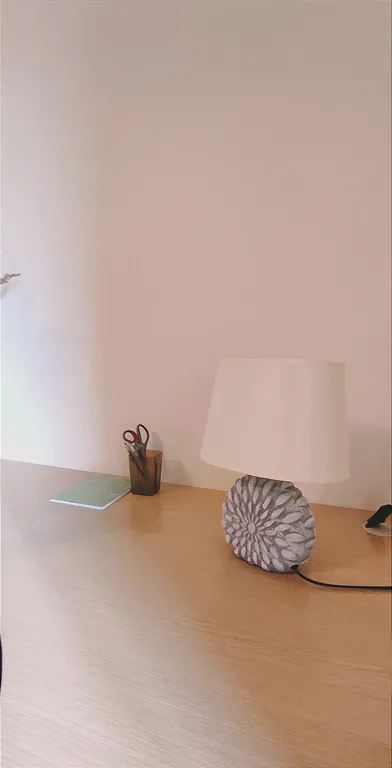 Апартаменты в доме с индивидуальным отоплением