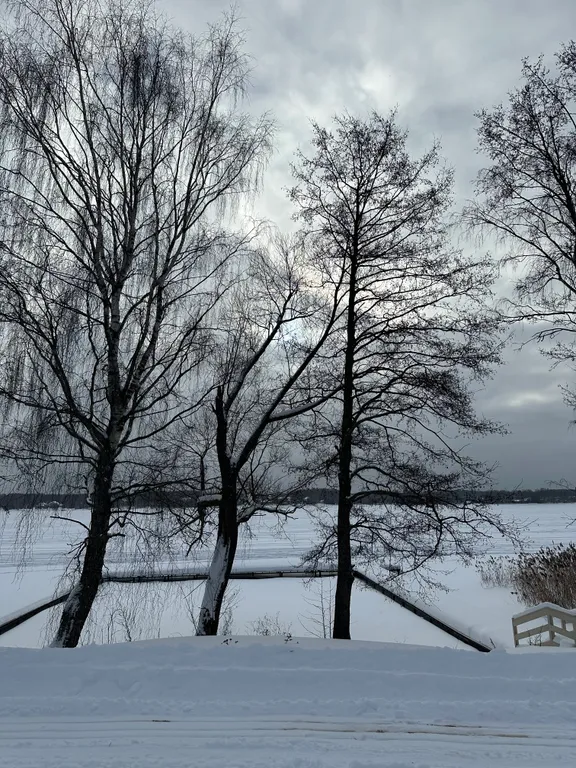 Дом # 2 «Синий»