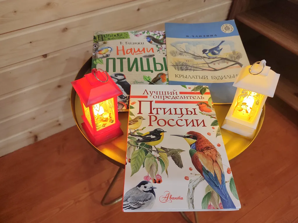 Птица синица House с огромным балконом у озера