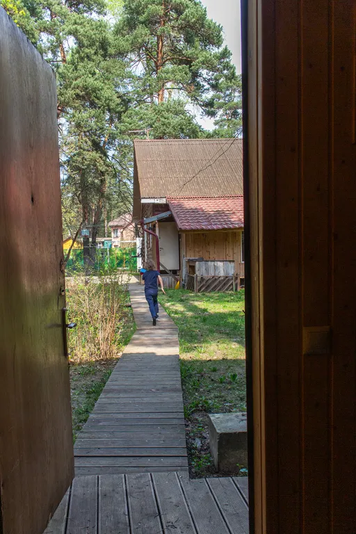 Дом в соснах