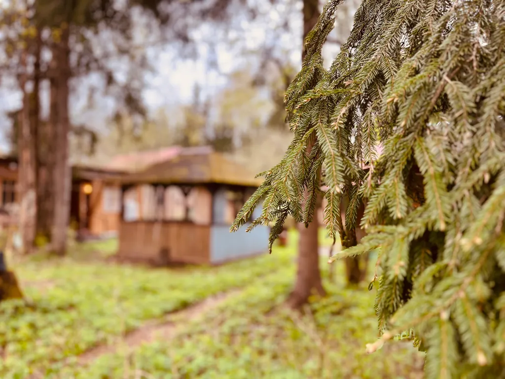 4-комнатный Дом