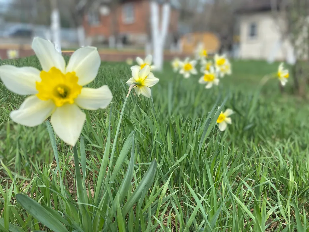 Коттедж Коттедж Дача с банькой в живописном лесу — Горячий Ключ
