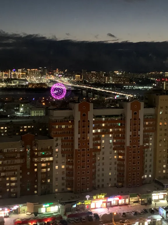 Квартира Апартаменты в пешей доступности от метро — Новосибирск