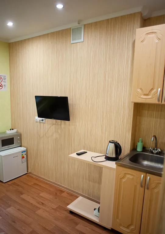 Мини-студия в центре