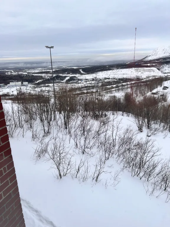 Уютная квартира с красивым видом из окна