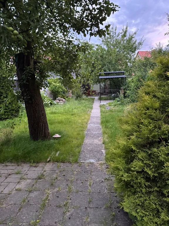 Квартира Уютная квартира в центре Амалиенау с выходом в сад — Калининград