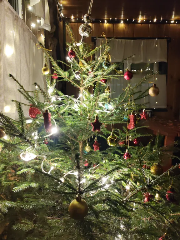 Домик у речки - мечта интроверта