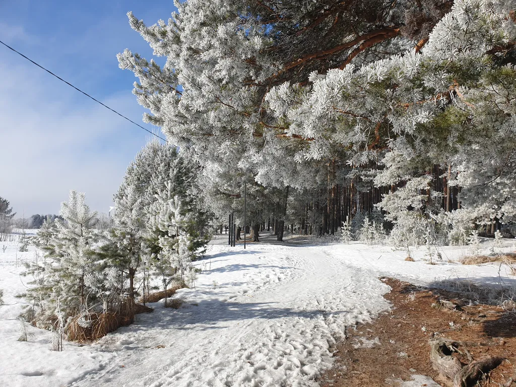 Семейный номер комфорт 2 ком. Вид на озеро и парк, в гост. Доме ранта