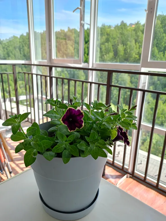 Новая уютная студия около заповедника Столбы