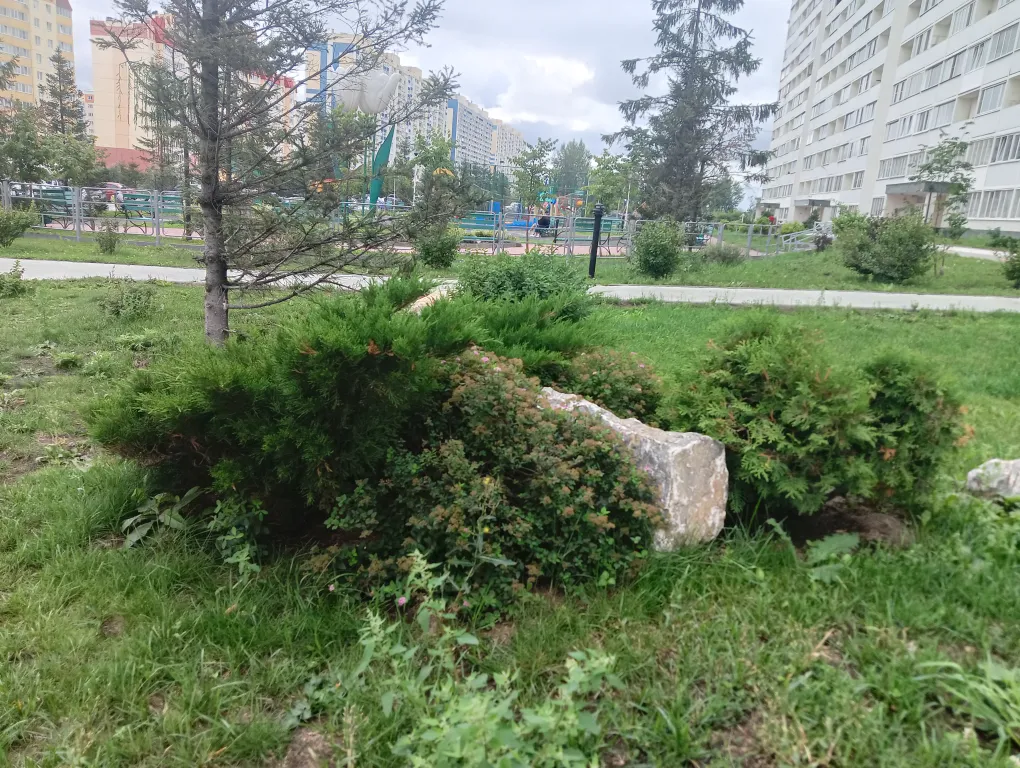 Квартира 2-комнатная Квартира — Новосибирск