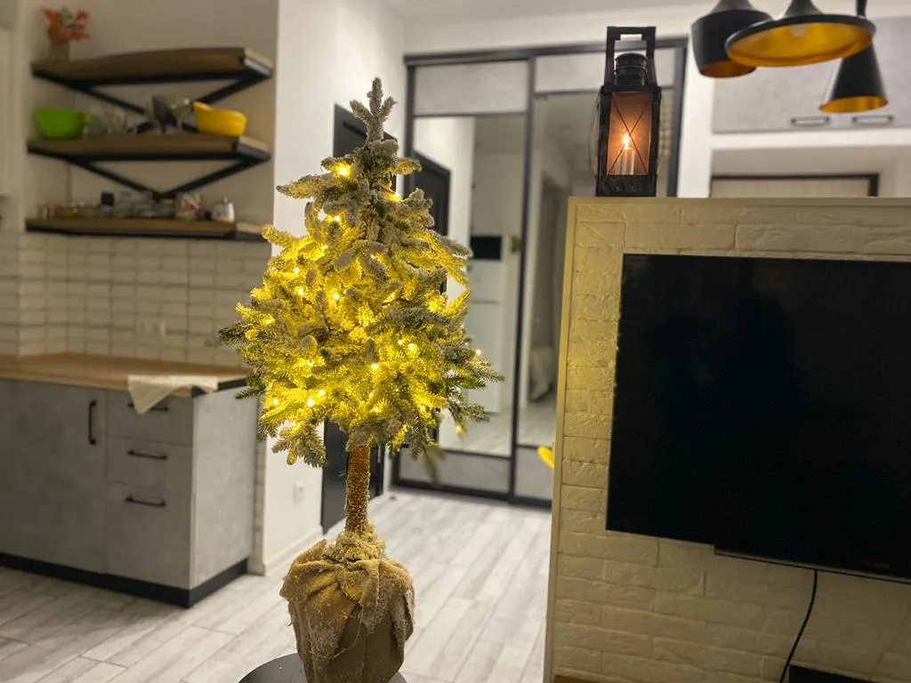 Квартира 1-комнатная Квартира — Сириус