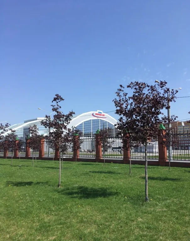 Уютная квартира у Набережной и Арены