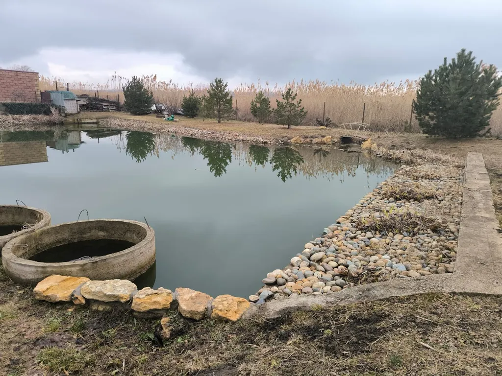 Дом у пруда