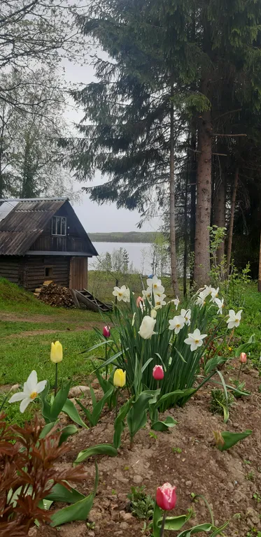 Дом на озере