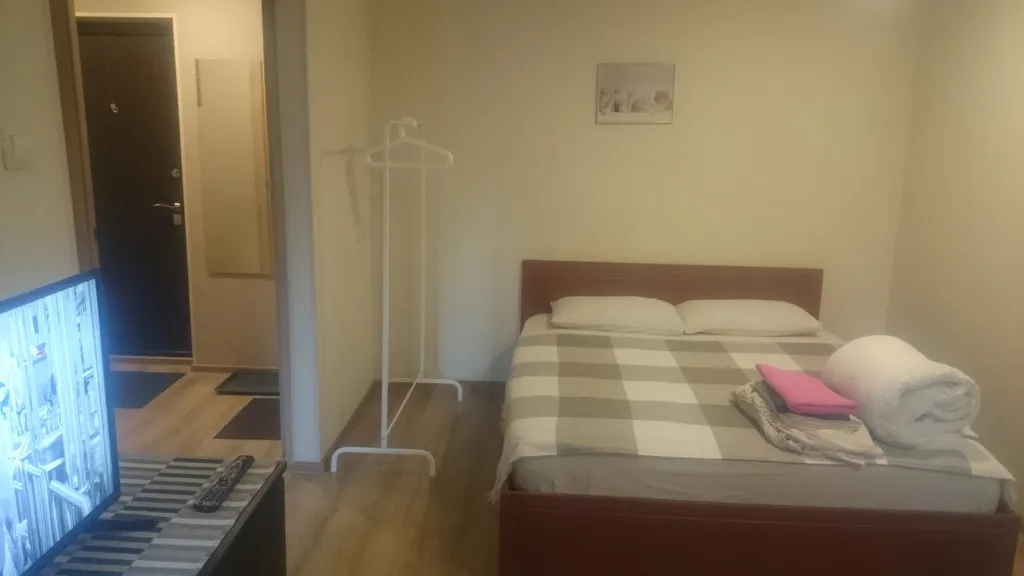 Уютная однокомнатная квартира в центре города