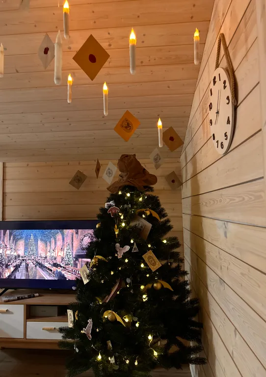 Туя пик Дом в Сорочанах с камином и баней на дровах