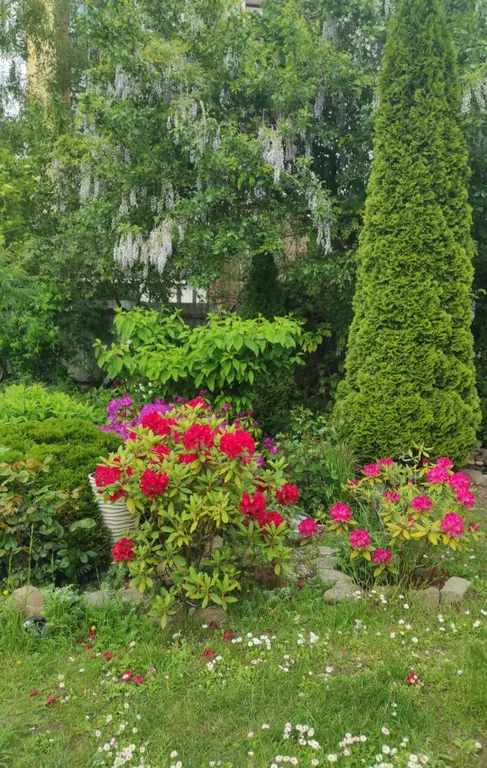 Квартира 2 -я Линия от МОРЯ и Лесной зоны