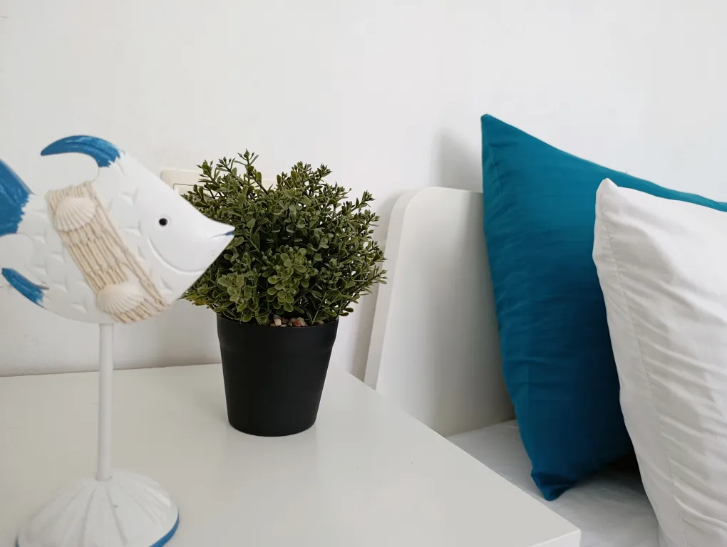 Уютные апартаменты на Венере