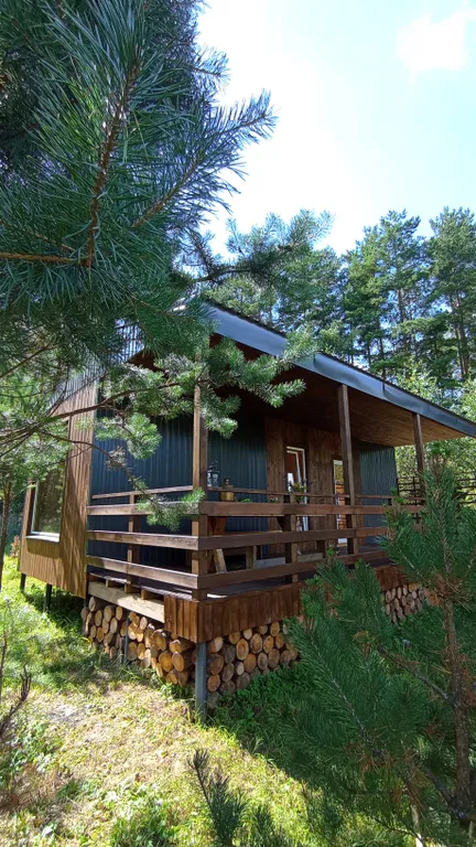 Уютный домик в сосновом лесу