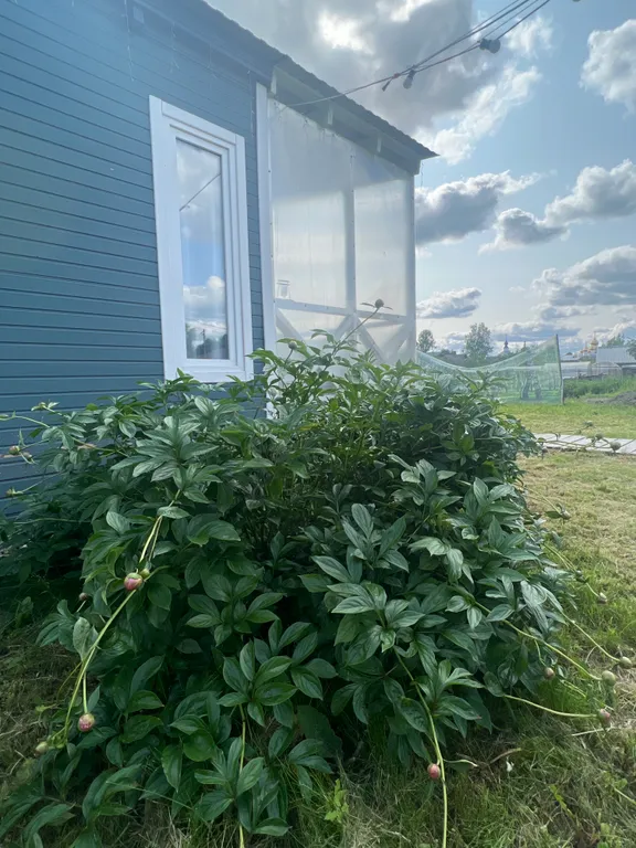 Новый уютный дом с отдельной территорией в центре города.