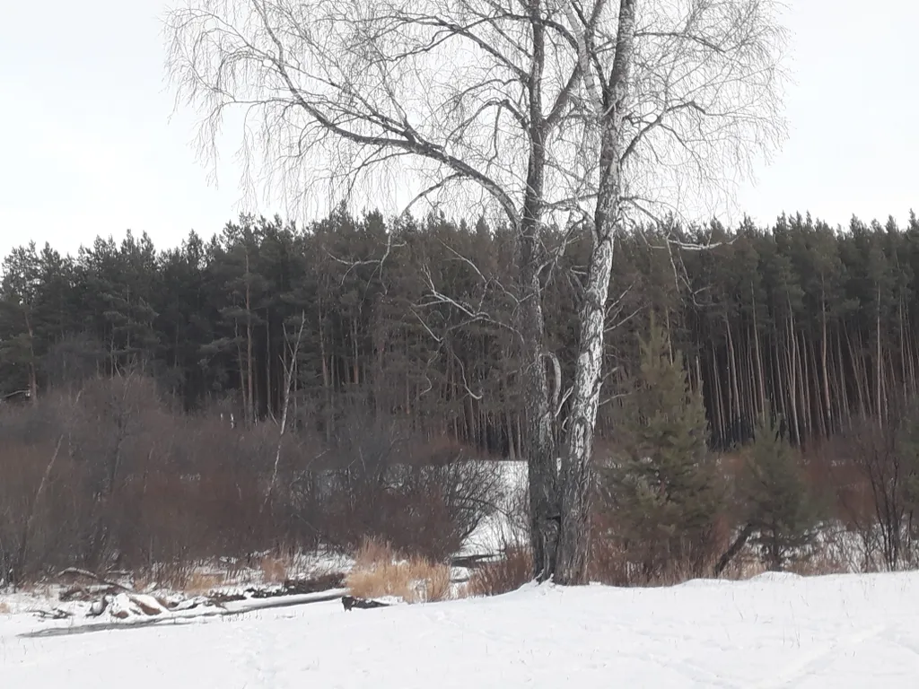 Шале у горной речки