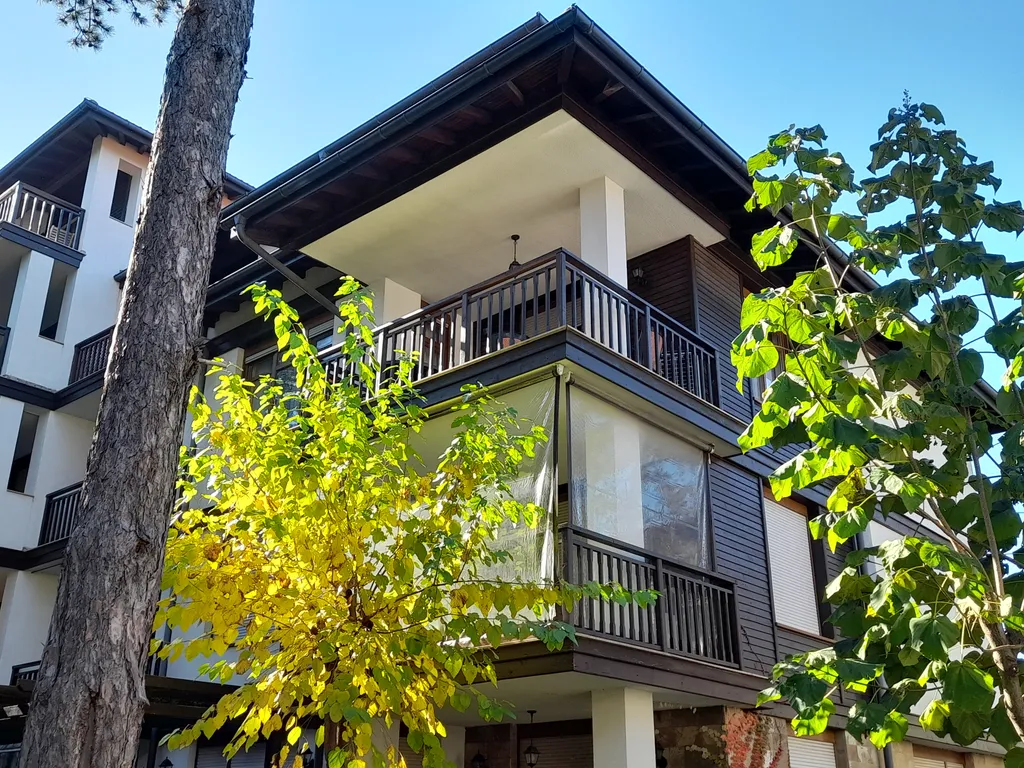 Трехкомнатный люкс в соснах у моря в Санта Марина