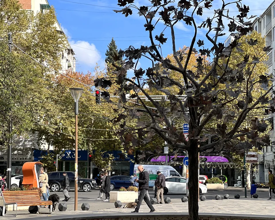 Уютно и стильно в центре города