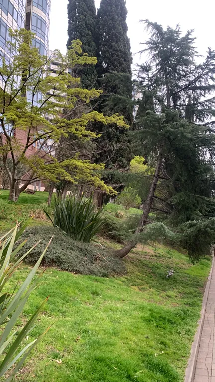 Дизайнерские апартаменты с видом на Обь и Сибирь арену