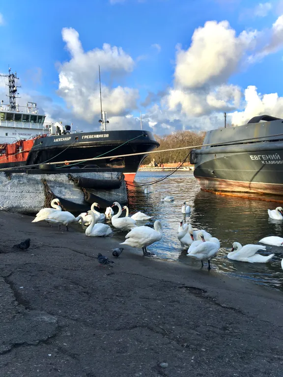 Квартира Квартира Сердце города — Калининград
