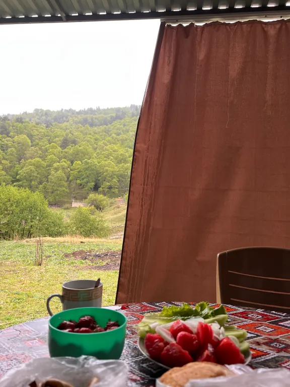 Домик в лесу