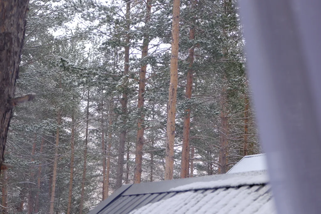 Уютная студия рядом с Эко тропой