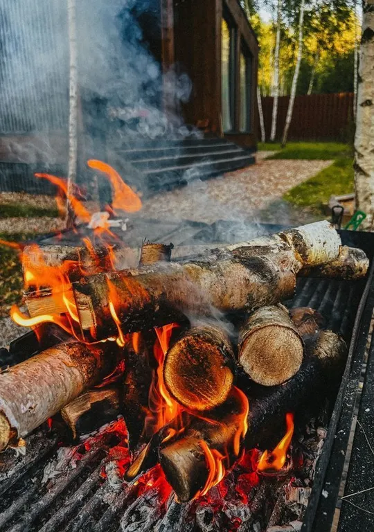 Дизайнерский панорамный дом с сауной в хвойном лесу