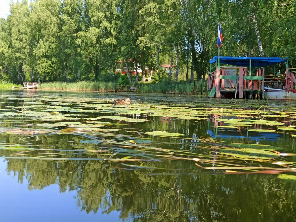 3-комнатный Дом